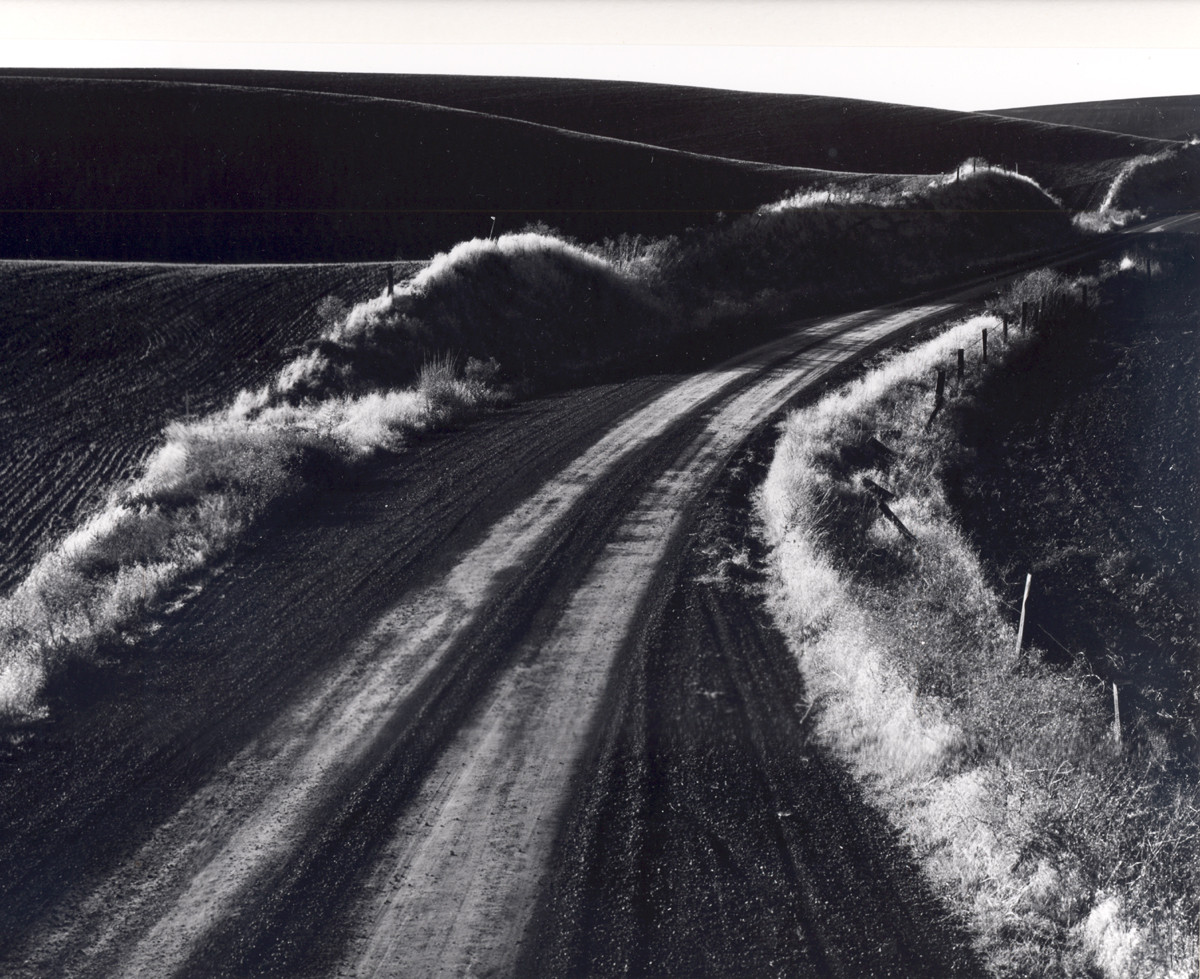 Dirt Road Through Plowed Fields