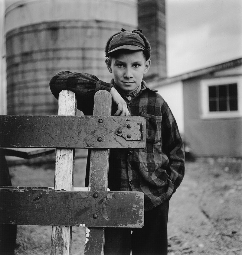 Leaning on the Cow Gate