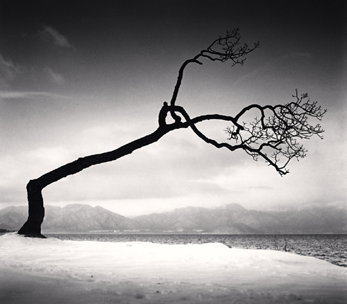 Michael Kenna Kussharo Lake Tree 16