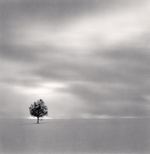 Twilight Tree, Higashi Kagura, Hokkaido, Japan, Michael Kenna, Catherine Couturier Gallery