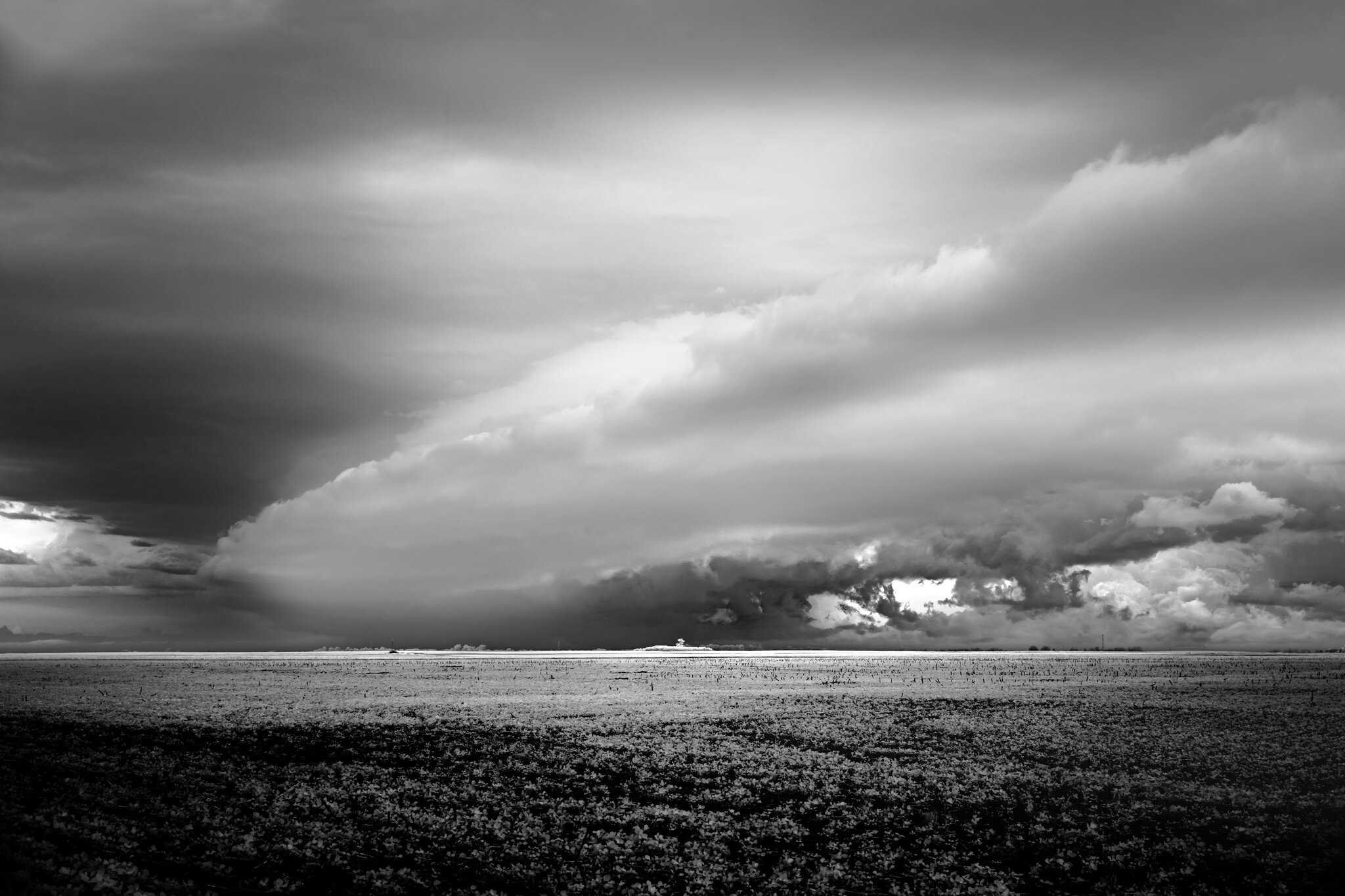 Wisps of ‘‘scud,’’ a sign of a developing thunderstorm near Canals, Argentina. 