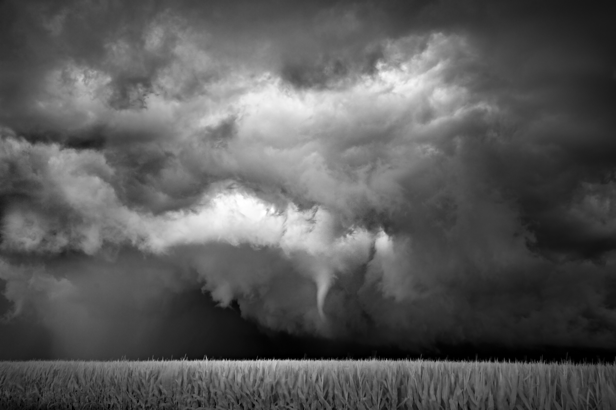 Mitch Dobrowner Funnel Cornfield