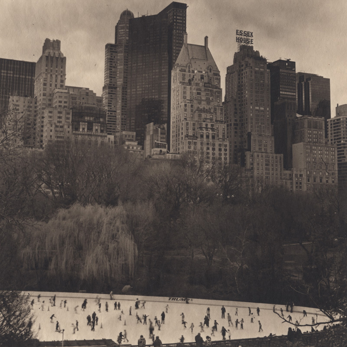 Takeshi Shikama Urban Forests - Central Park #22