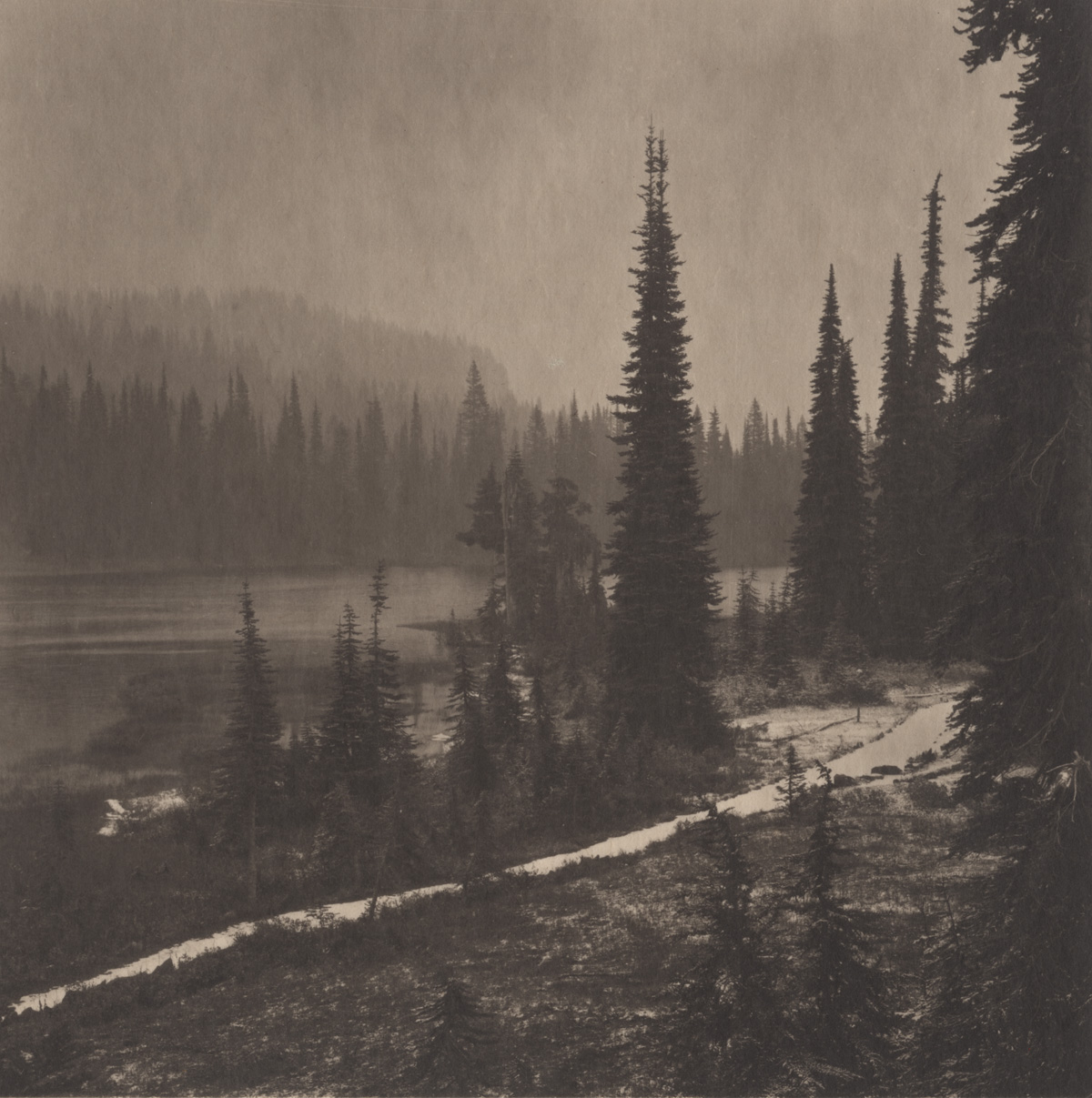 Takeshi Shikama Silent Respiration of Foreses - Pacific Northwest Mt. Rainer #2